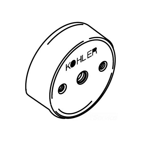 Kohler Overflow Hood K-29629-AF